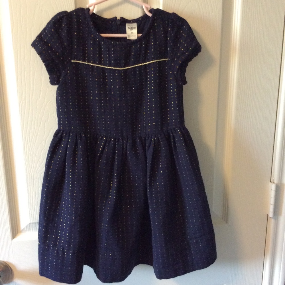 Kids OshKosh Beautiful Formal Dress Size 5T